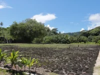 IMG_3612.webp IMG_3612.webp