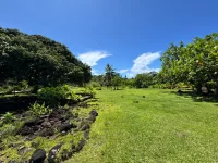 IMG_7890.webp IMG_7890.webp