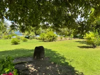 IMG_7891.webp IMG_7891.webp