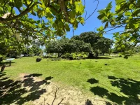 IMG_7898.webp IMG_7898.webp