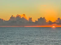 IMG_8147.webp IMG_8147.webp