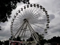 1768238647429.webp 1768238647429.webp