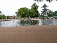 1768238681839.webp 1768238681839.webp