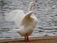 1768238699151.webp 1768238699151.webp