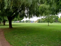 1768239018990.webp 1768239018990.webp