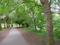 1768239037797.webp 1768239037797.webp