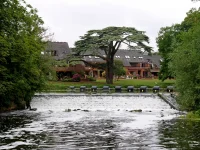 1768239051821.webp 1768239051821.webp