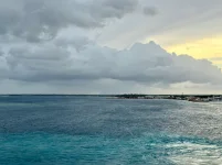 IMG_8261.webp IMG_8261.webp