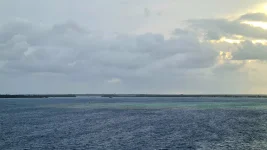 20260111_185345.webp 20260111_185345.webp