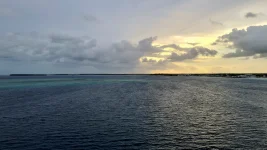 20260111_190304.webp 20260111_190304.webp