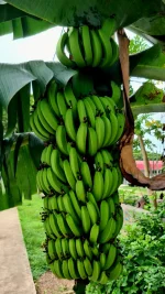 20260111_220634.webp 20260111_220634.webp