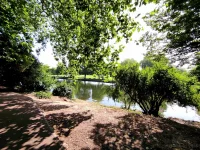 1768498047001.webp 1768498047001.webp