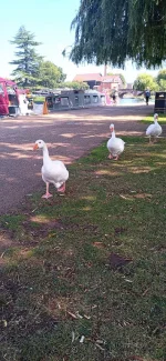 1768498116863.webp 1768498116863.webp