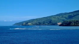 20260115_214231.webp 20260115_214231.webp