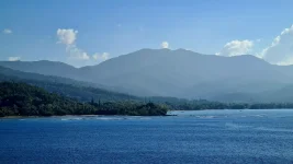 20260115_213110.webp 20260115_213110.webp