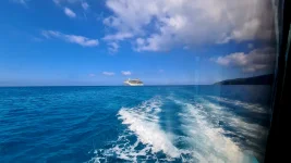 20260115_230409.webp 20260115_230409.webp