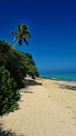 20260115_232942.webp 20260115_232942.webp