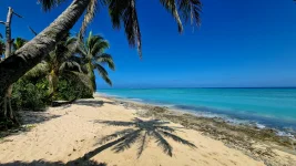 20260115_233307.webp 20260115_233307.webp