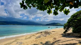 20260115_233053.webp 20260115_233053.webp