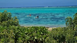 20260116_001715.webp 20260116_001715.webp