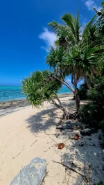 20260116_002010.webp 20260116_002010.webp