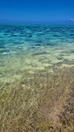 20260116_002206.webp 20260116_002206.webp