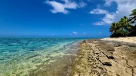 20260116_002150.webp 20260116_002150.webp