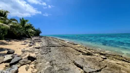 20260116_002130.webp 20260116_002130.webp