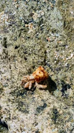 20260115_233726.webp 20260115_233726.webp