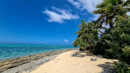 20260116_002051.webp 20260116_002051.webp