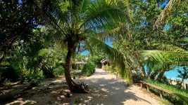 20260115_234031.webp 20260115_234031.webp