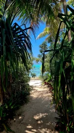 20260116_001935.webp 20260116_001935.webp