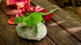 20260116_004906.webp 20260116_004906.webp