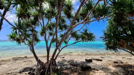 20260116_002955.webp 20260116_002955.webp