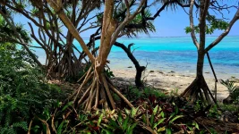 20260116_002843.webp 20260116_002843.webp