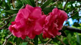 20260116_004509.webp 20260116_004509.webp