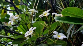 20260116_004603.webp 20260116_004603.webp