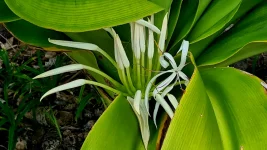 20260116_003117.webp 20260116_003117.webp