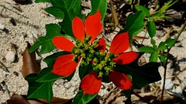 20260115_233848.webp 20260115_233848.webp