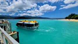 20260116_005247.webp 20260116_005247.webp