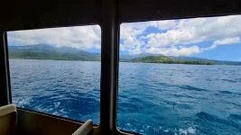 20260116_011052.webp 20260116_011052.webp