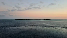 20260116_083416.webp 20260116_083416.webp