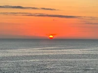 IMG_8858.webp IMG_8858.webp