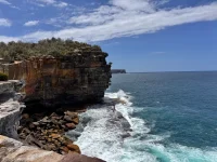 IMG_9349.webp IMG_9349.webp