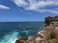 IMG_9350.webp IMG_9350.webp