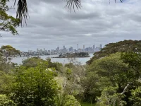 IMG_9356.webp IMG_9356.webp