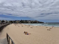 IMG_9366.webp IMG_9366.webp