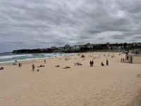 IMG_9367.webp IMG_9367.webp