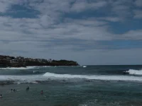 IMG_4246.webp IMG_4246.webp