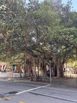 IMG_9483.webp IMG_9483.webp